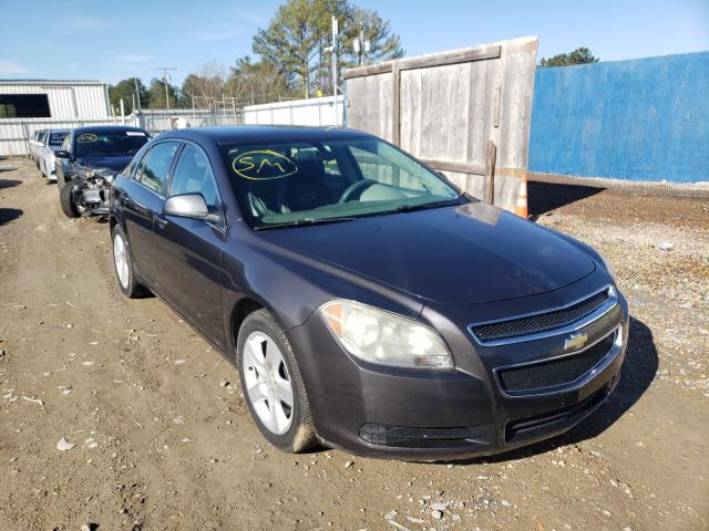 CHEVROLET MALIBU LS 2010 1g1za5e06af290505