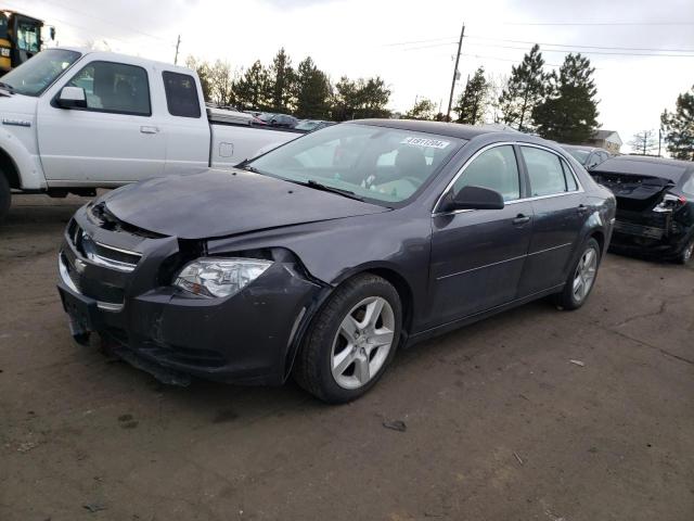 CHEVROLET MALIBU 2010 1g1za5e07a4129351