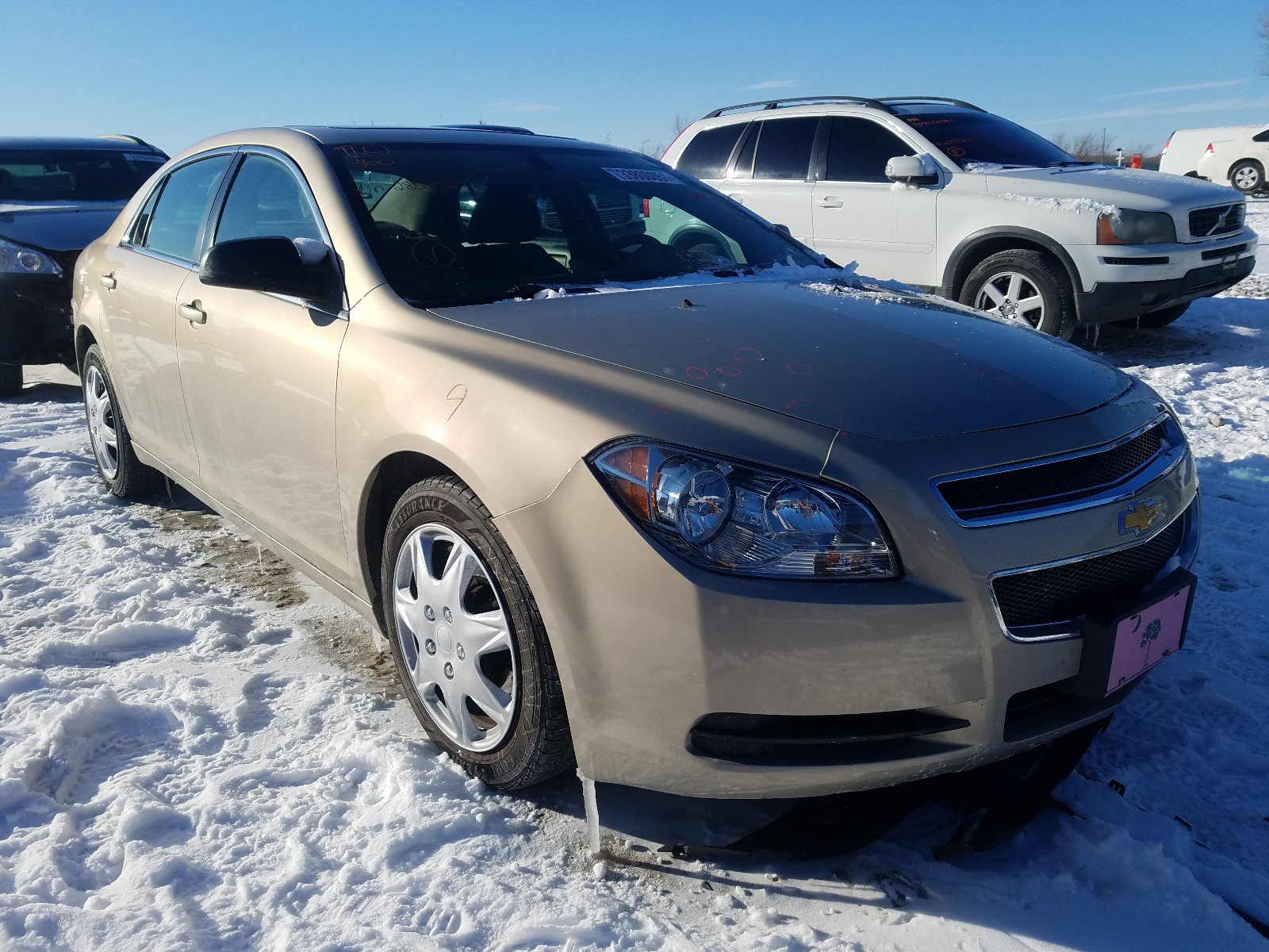 CHEVROLET MALIBU LS 2010 1g1za5e07af280582