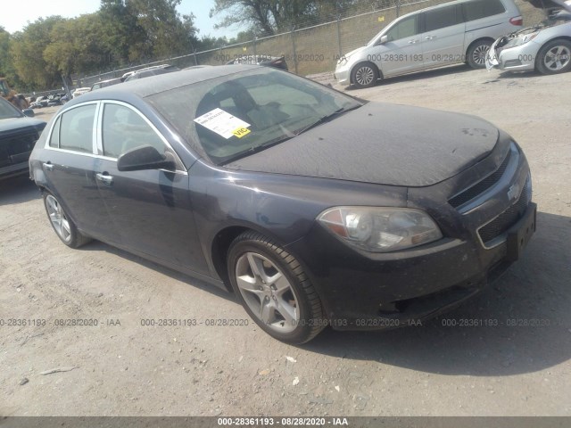 CHEVROLET MALIBU 2010 1g1za5e07af284373