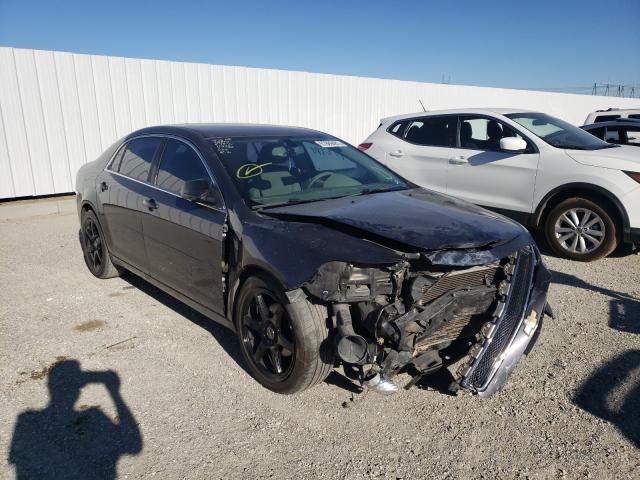 CHEVROLET MALIBU LS 2012 1g1za5e07cf380233