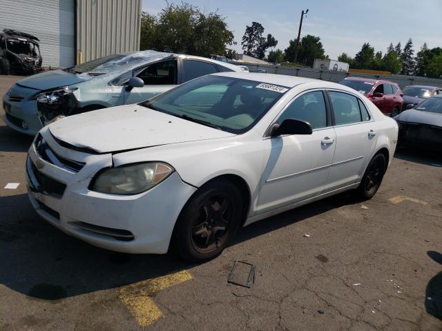 CHEVROLET MALIBU LS 2012 1g1za5e07cf386646