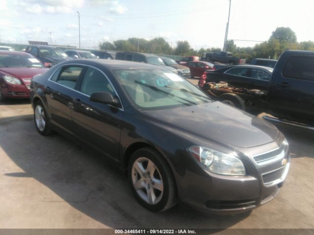 CHEVROLET MALIBU 2010 1g1za5e08a4133179