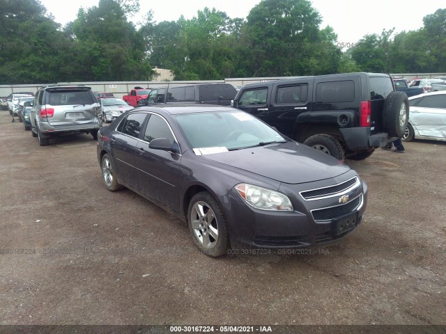 CHEVROLET MALIBU 2010 1g1za5e08a4147521