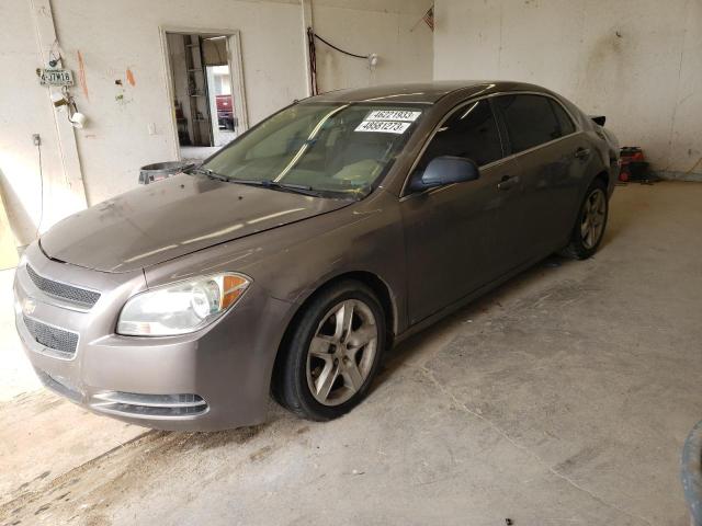 CHEVROLET MALIBU LS 2010 1g1za5e08af113051