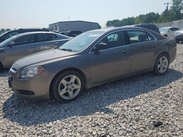 CHEVROLET MALIBU 2010 1g1za5e08af168051