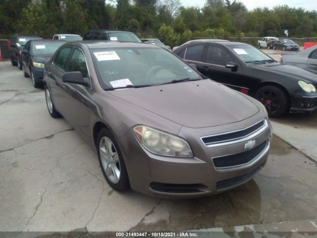 CHEVROLET MALIBU 2010 1g1za5e08af274709