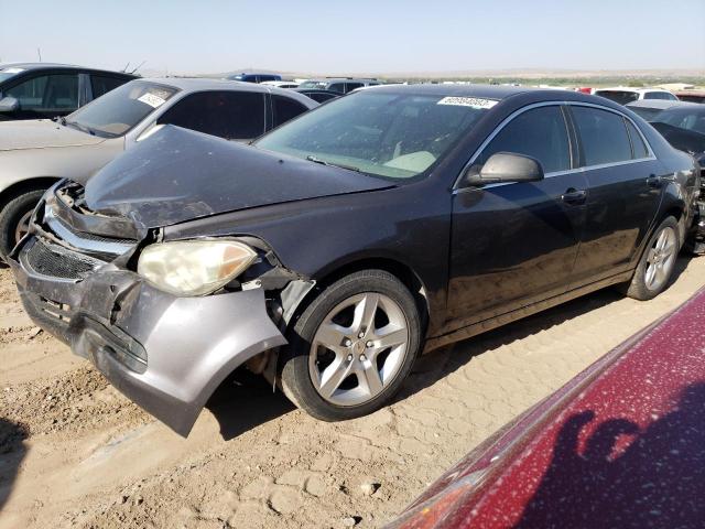 CHEVROLET MALIBU 2010 1g1za5e08af278839