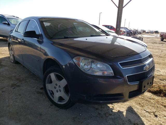 CHEVROLET MALIBU LS 2010 1g1za5e08af285256