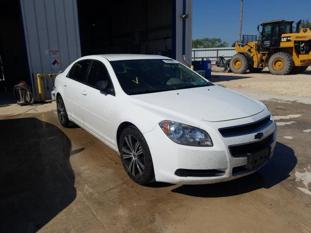 CHEVROLET MALIBU LS 2012 1g1za5e08cf398661