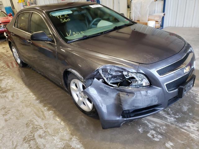 CHEVROLET MALIBU 2010 1g1za5e09a4123406