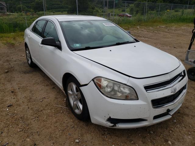 CHEVROLET MALIBU LS 2010 1g1za5e09af170455