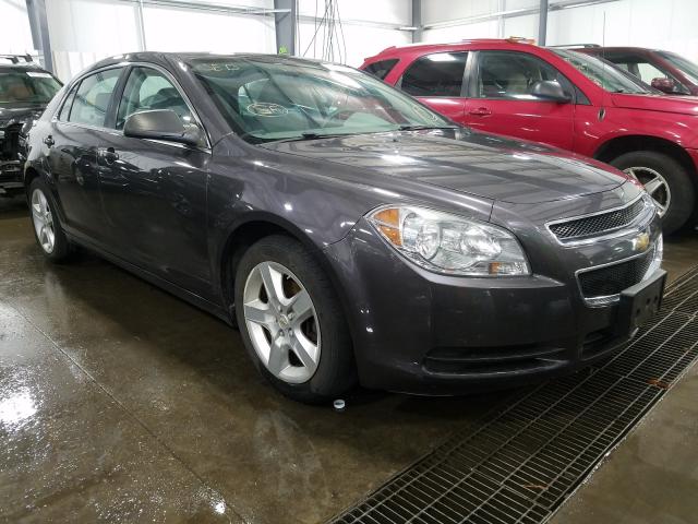 CHEVROLET MALIBU LS 2010 1g1za5e09af240309