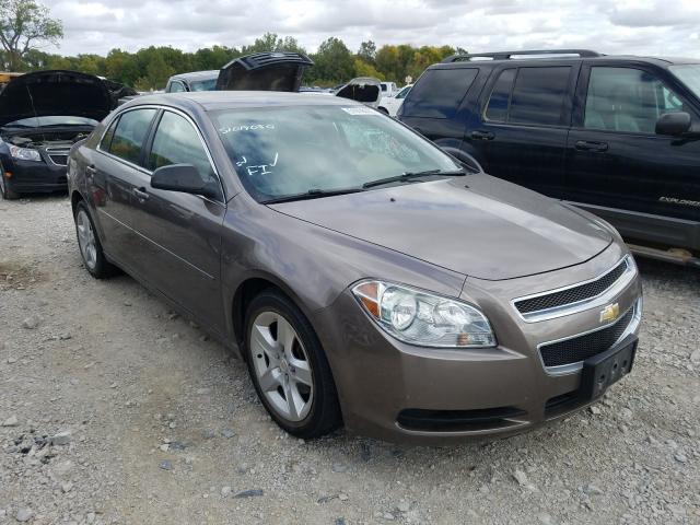 CHEVROLET MALIBU LS 2010 1g1za5e09af253917