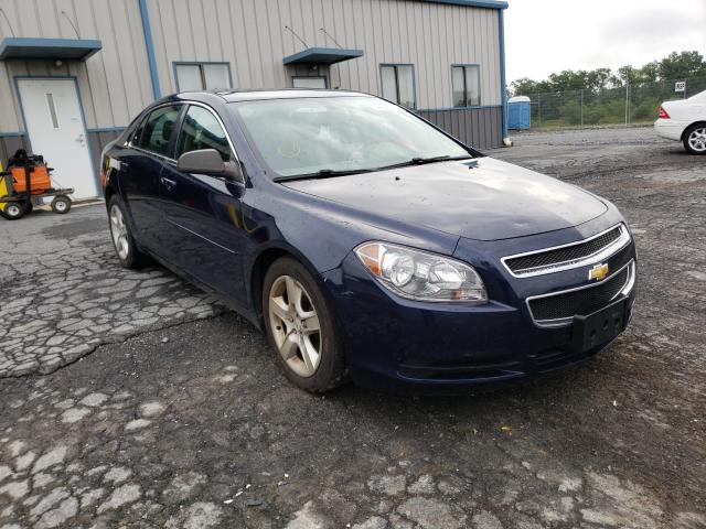 CHEVROLET MALIBU LS 2010 1g1za5e09af284701