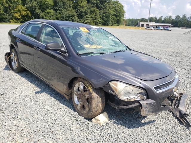 CHEVROLET MALIBU LS 2010 1g1za5e09af291082