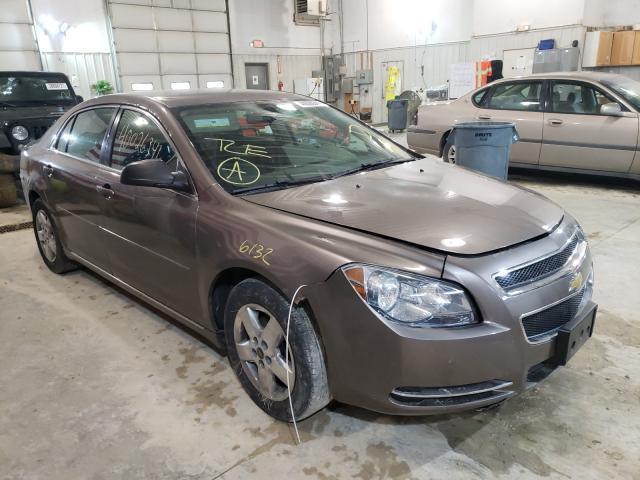 CHEVROLET MALIBU LS 2010 1g1za5e09af316403