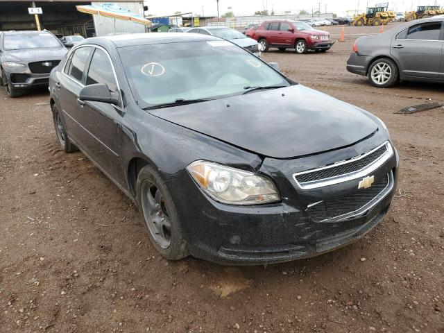 CHEVROLET MALIBU LS 2012 1g1za5e09cf386387