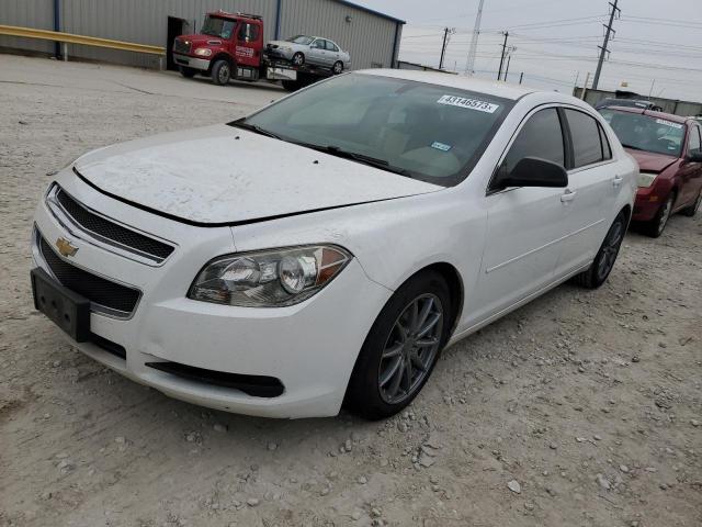 CHEVROLET MALIBU LS 2012 1g1za5e09cf398247