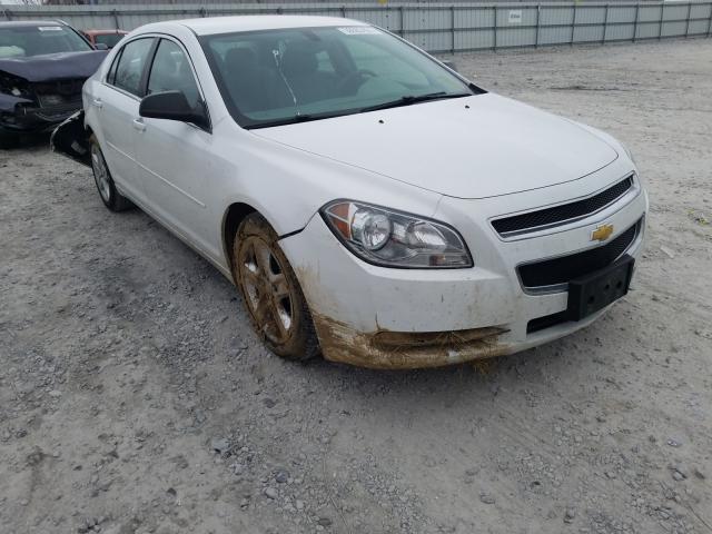 CHEVROLET MALIBU LS 2012 1g1za5e09cf398992