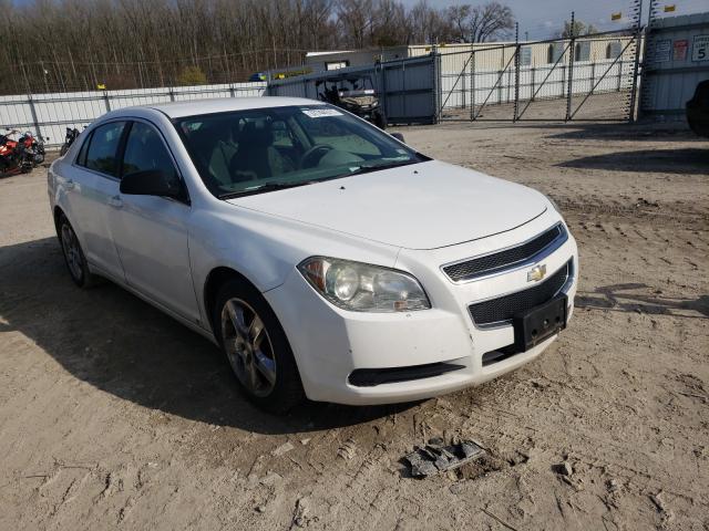 CHEVROLET MALIBU LS 2010 1g1za5e0xa4102239