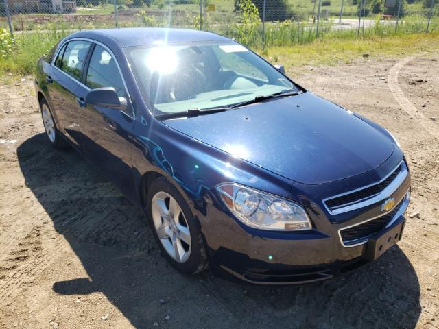 CHEVROLET MALIBU LS 2010 1g1za5e0xa4149819