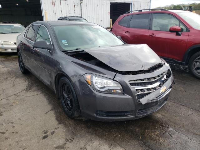 CHEVROLET MALIBU LS 2010 1g1za5e0xa4165695