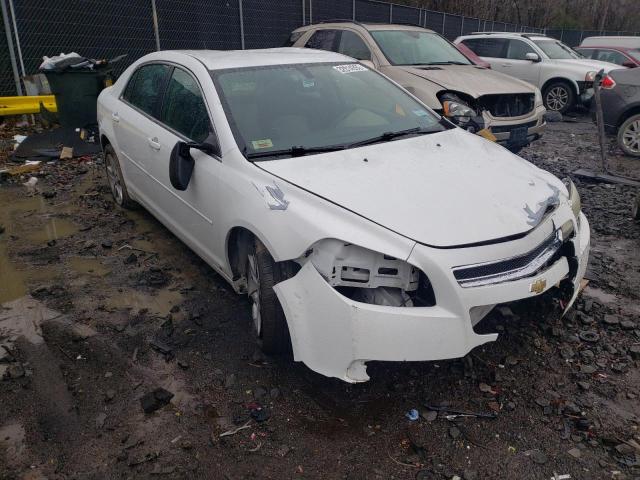 CHEVROLET MALIBU LS 2010 1g1za5e0xaf127825