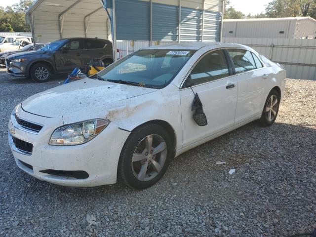 CHEVROLET MALIBU LS 2010 1g1za5e0xaf155852