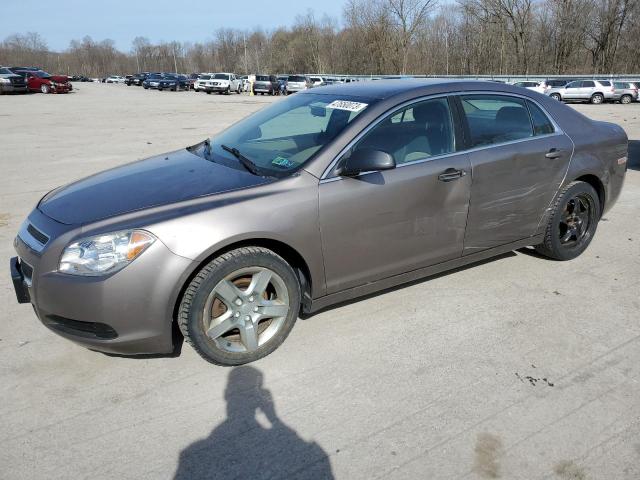 CHEVROLET MALIBU LS 2010 1g1za5e0xaf167886