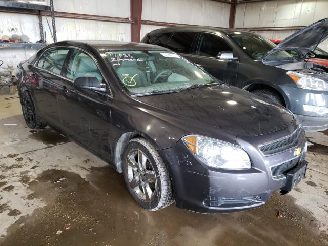 CHEVROLET MALIBU LS 2010 1g1za5e0xaf281029