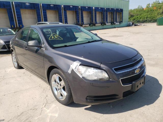 CHEVROLET MALIBU LS 2012 1g1za5e0xcf383188