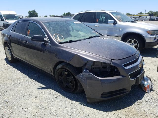 CHEVROLET MALIBU LS 2011 1g1za5e10bf165672