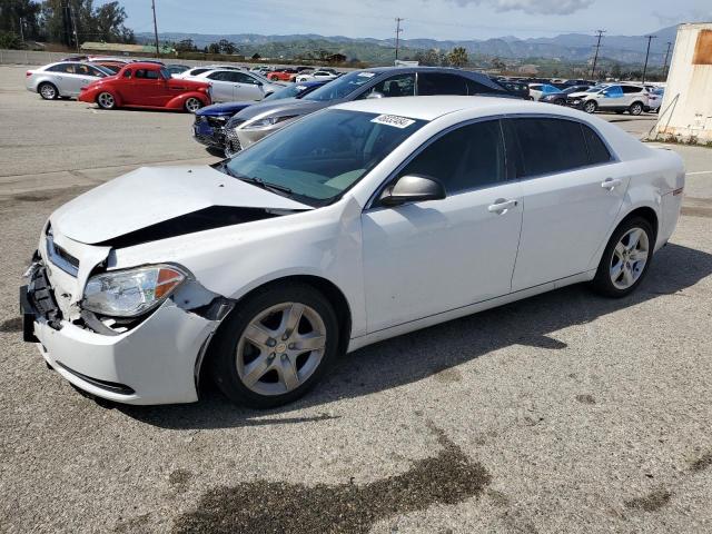 CHEVROLET MALIBU 2011 1g1za5e10bf289750