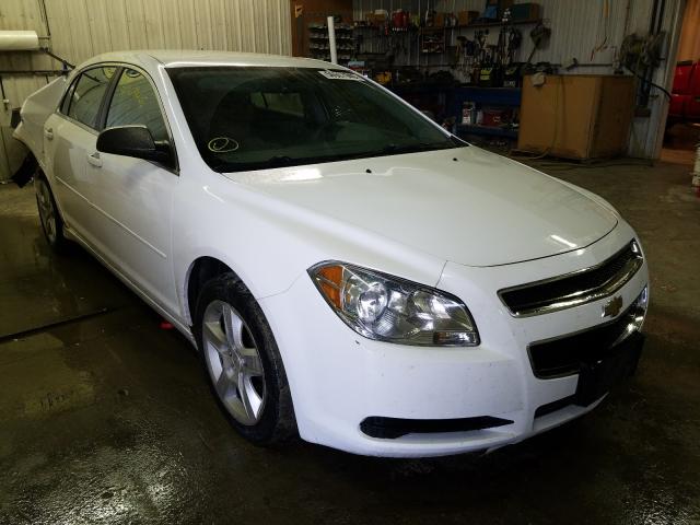 CHEVROLET MALIBU LS 2011 1g1za5e11bf110664