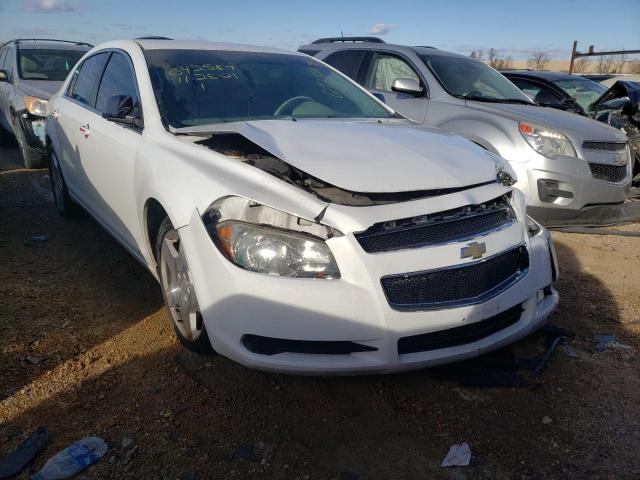 CHEVROLET MALIBU LS 2011 1g1za5e11bf183257