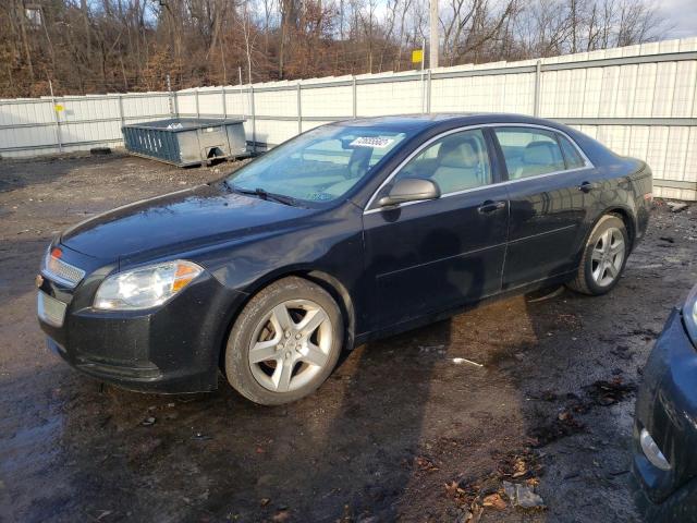 CHEVROLET MALIBU LS 2011 1g1za5e11bf328894