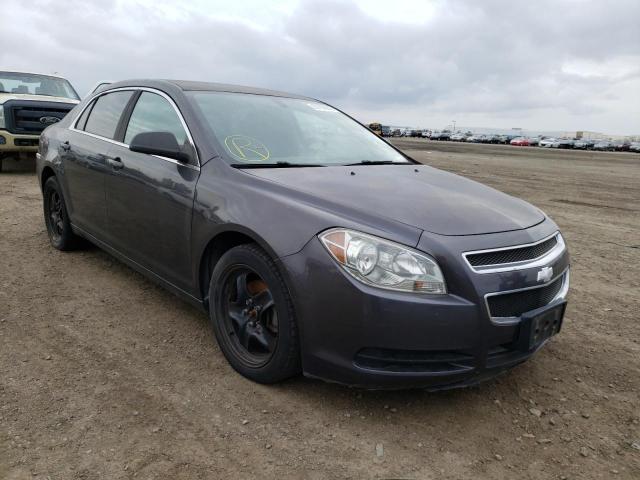 CHEVROLET MALIBU LS 2011 1g1za5e12bf165642