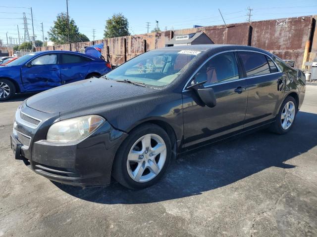 CHEVROLET MALIBU 2011 1g1za5e12bf220106