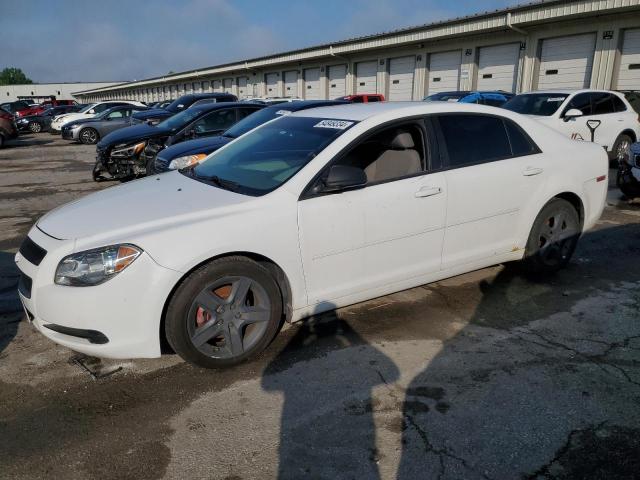 CHEVROLET MALIBU 2011 1g1za5e13bf169487