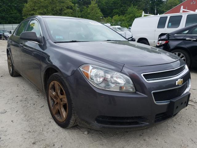 CHEVROLET MALIBU LS 2011 1g1za5e13bf180599