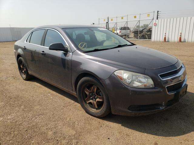 CHEVROLET MALIBU LS 2011 1g1za5e13bf182398