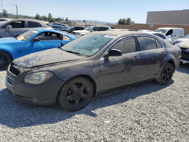 CHEVROLET MALIBU LS 2011 1g1za5e13bf239652