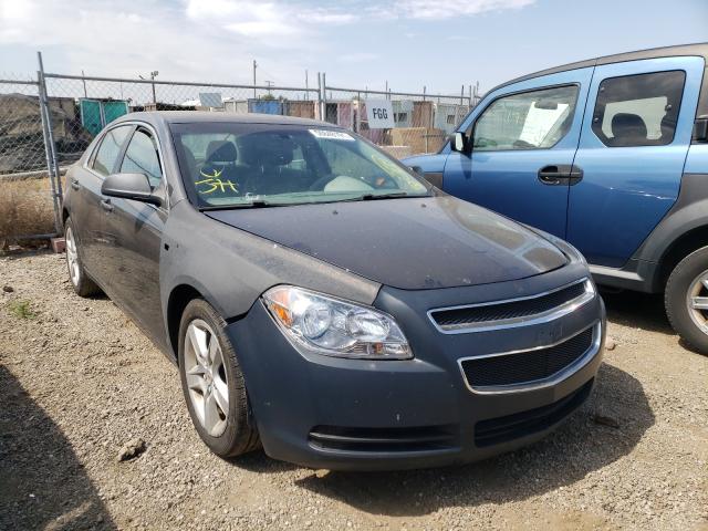 CHEVROLET MALIBU LS 2011 1g1za5e13bf320795