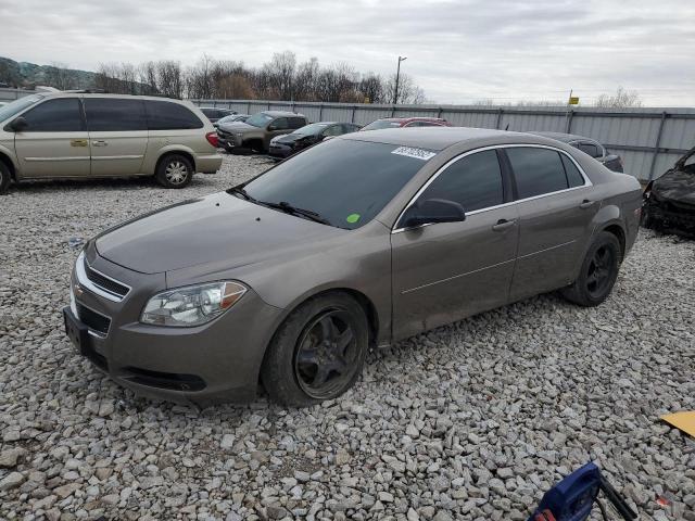 CHEVROLET MALIBU LS 2011 1g1za5e13bf374436