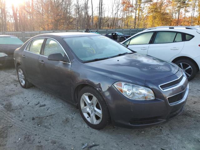 CHEVROLET MALIBU LS 2011 1g1za5e14bf166081