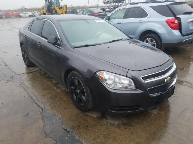 CHEVROLET MALIBU LS 2011 1g1za5e15bf346394