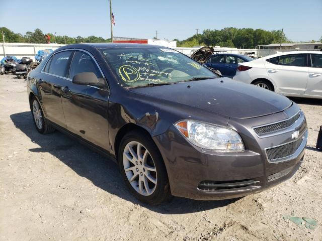 CHEVROLET MALIBU LS 2011 1g1za5e16bf126147