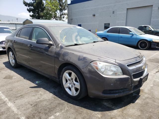 CHEVROLET MALIBU LS 2011 1g1za5e16bf160055