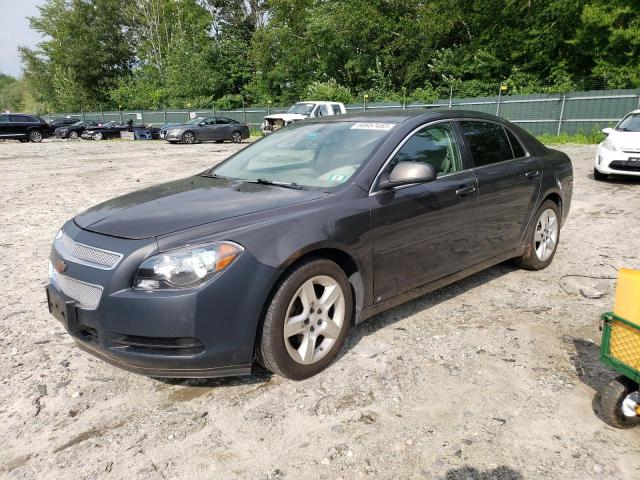 CHEVROLET MALIBU LS 2011 1g1za5e16bf237393